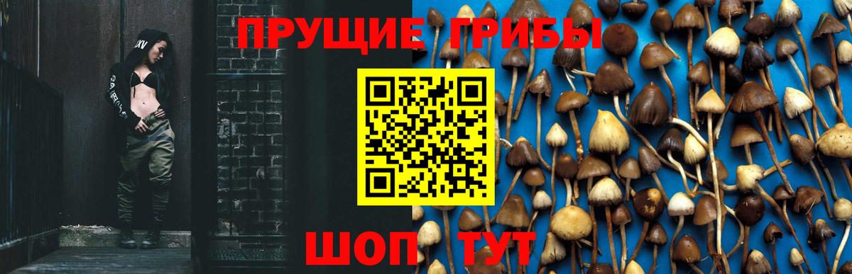 где найти   Галлюциногенные грибы Psilocybine cubensis  Псилоцибиновые грибы мицелий  Вход с VPN  Борисоглебск 